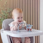 Shnuggle stick n play star toy (5)